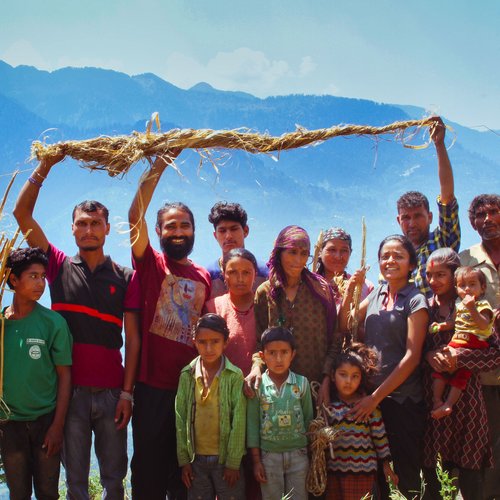 Haneesh Katnawer (Himalayan Hemp)