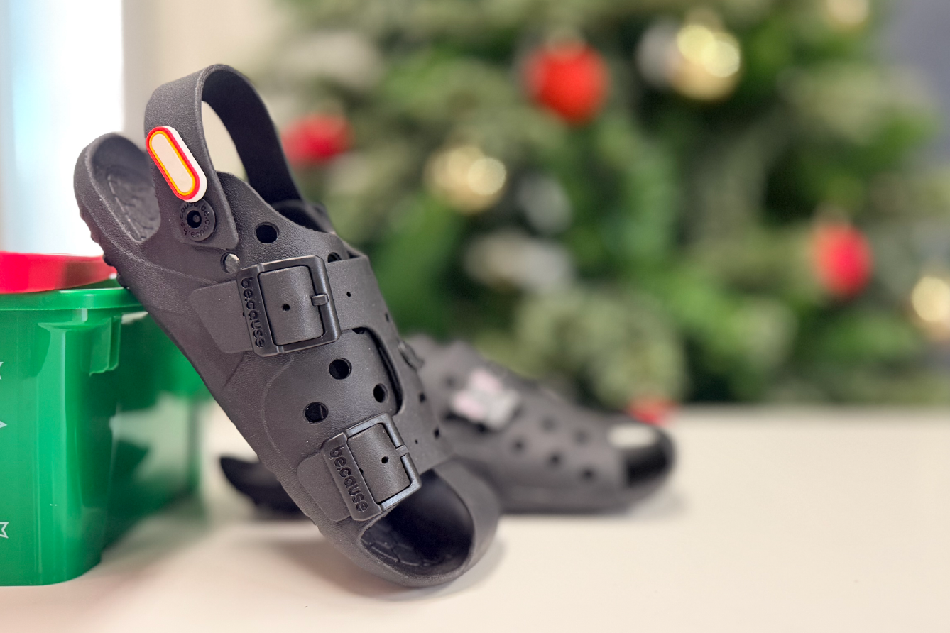 Media_Kit_2026_image_The_Shoe_That_Grows_Christmas_Shoebox.png