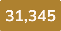 Stat_yellow-z-15.png