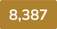 Stat_yellow-z-16.png