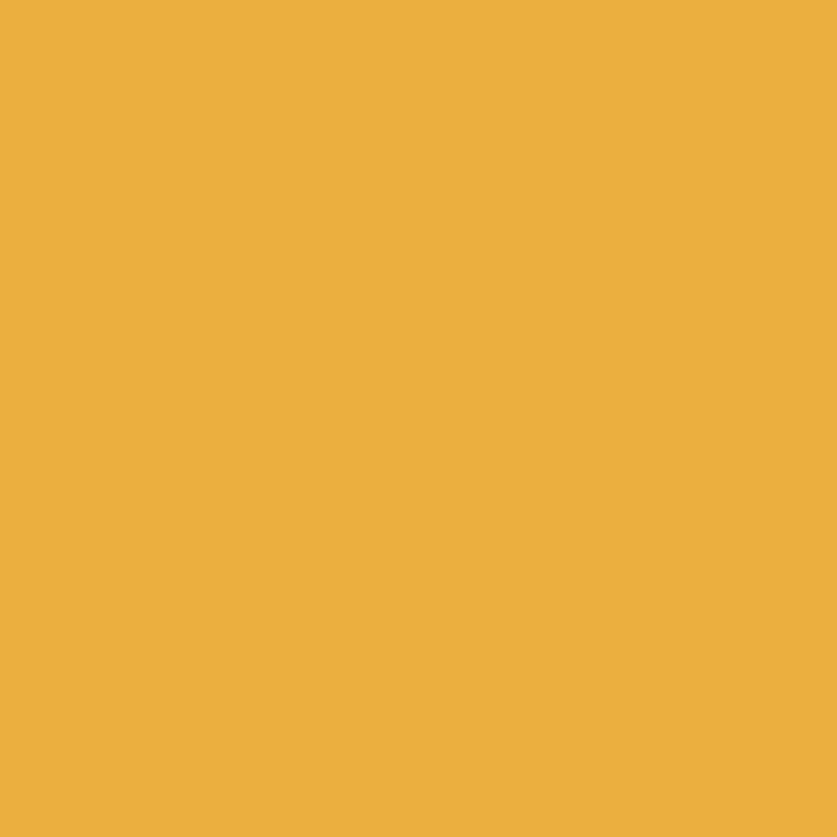 yellow-background.png